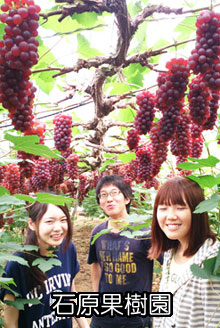 �и��̼���